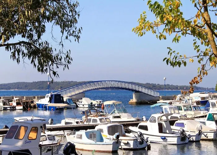 Cozy With Terrace And Bbq Appartement