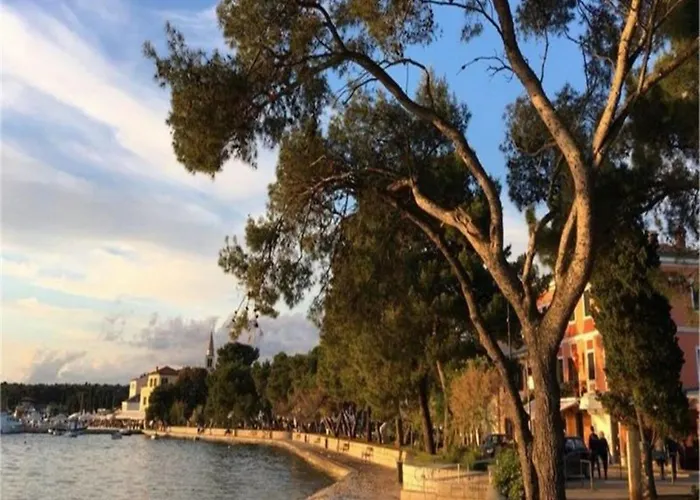 Appartement Cozy With Terrace And Bbq